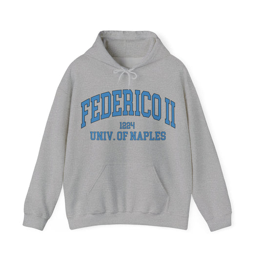 University of Naples Federico II - Unisex Heavy Blend Felpa Hoodie Sweatshirt