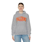 Palermo University - Unisex Heavy Blend Felpa Hoodie