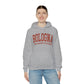 Bologna University Alma Mater Studiorum - Unisex Heavy Blend Felpa Hoodie