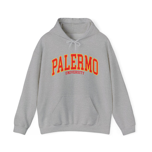 Palermo University - Unisex Heavy Blend Felpa Hoodie