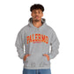 Palermo University - Unisex Heavy Blend Felpa Hoodie