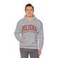 Bologna University Alma Mater Studiorum - Unisex Heavy Blend Felpa Hoodie