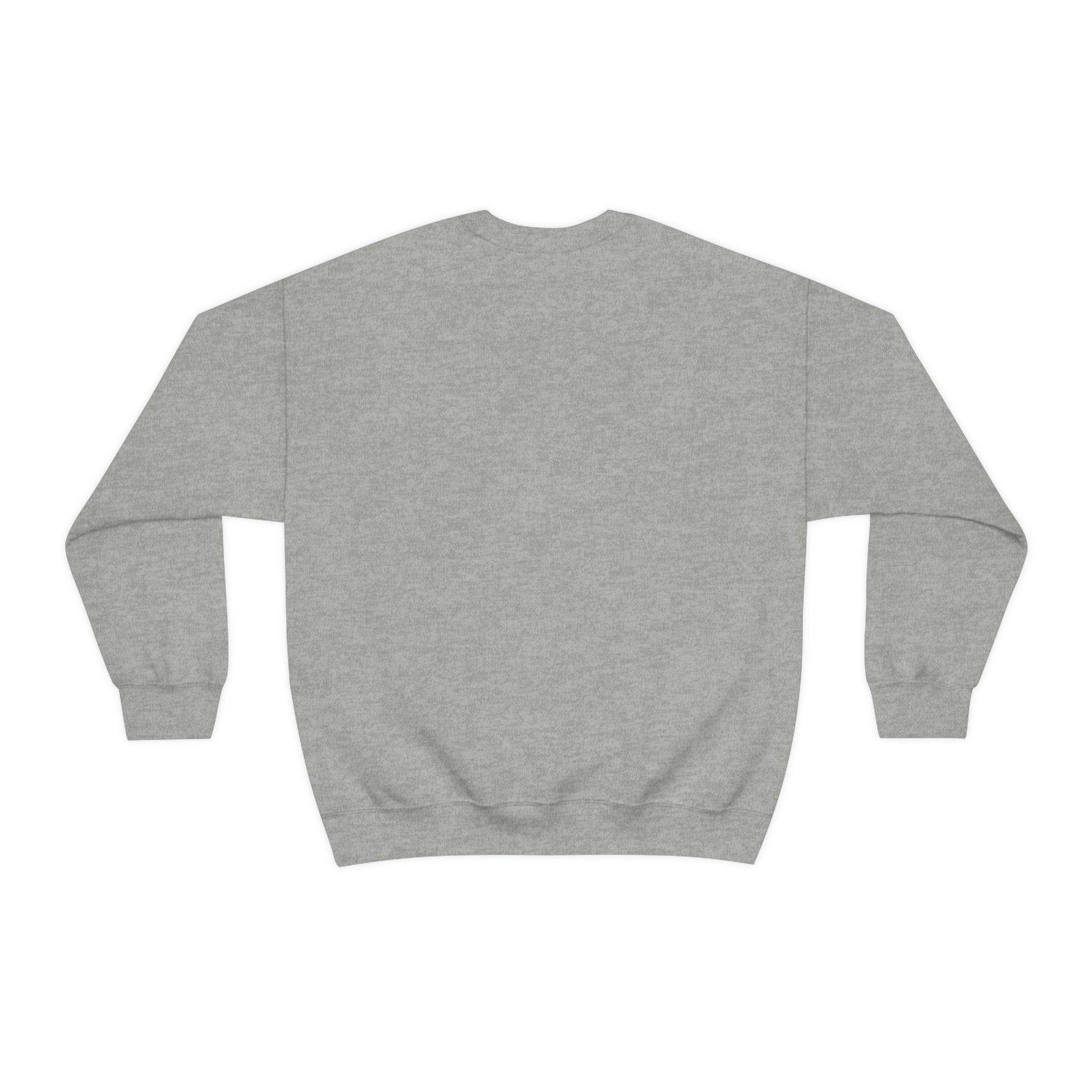 la sapienza university of rome felpa sweatshirt