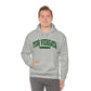 Tor Vergata University of Rome - Unisex Heavy Blend Felpa Hoodie Sweatshirt