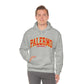 Palermo University - Unisex Heavy Blend Felpa Hoodie